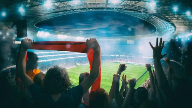 VTC Événements sportifs : Matchs Stadium, Ernest Wallon